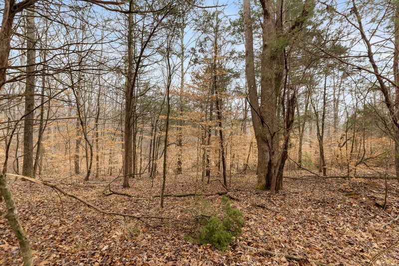 Griffintown Rd, White Bluff, TN 37187