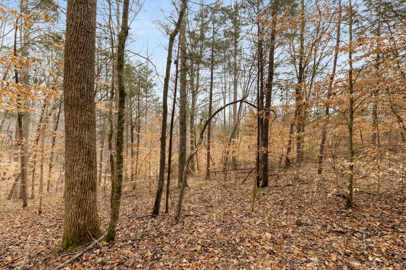 Griffintown Rd, White Bluff, TN 37187