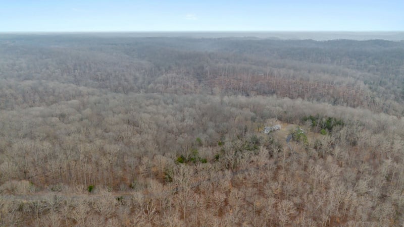 Griffintown Rd, White Bluff, TN 37187