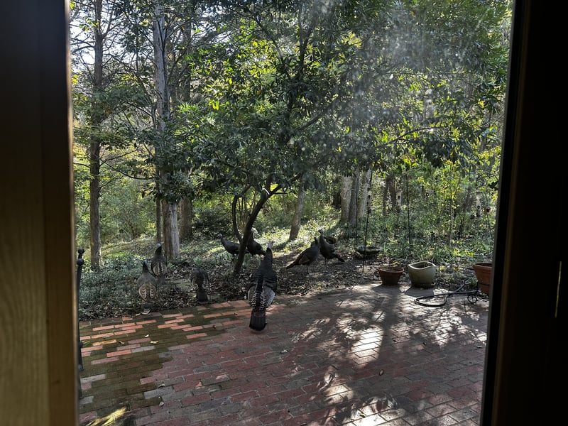 2004 Otter Creek Rd, Nashville, TN 37215