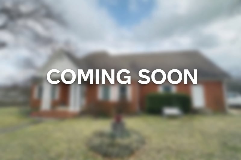 1019 Hilton Ln, Castalian Springs, TN 37031