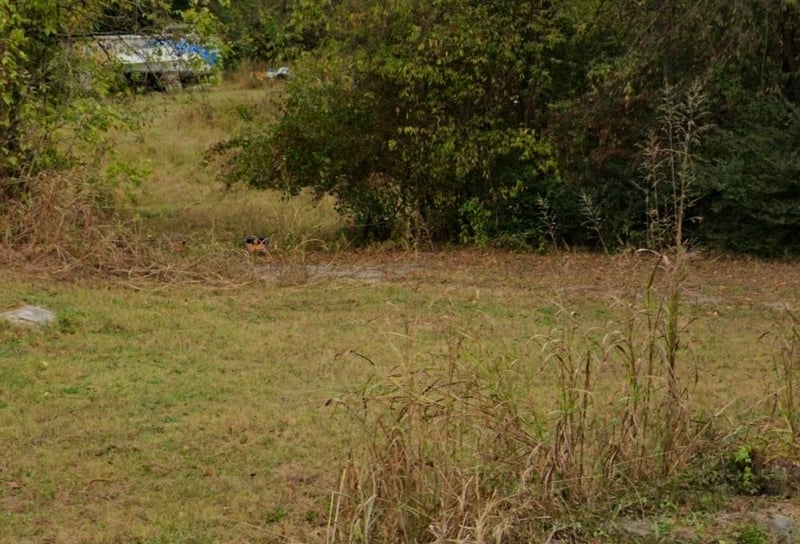 3050 Asbury Rd, Murfreesboro, TN 37129