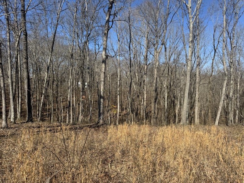 0 Primm Rd, Ashland City, TN 37015