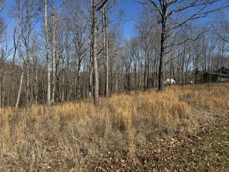 0 Primm Rd, Ashland City, TN 37015