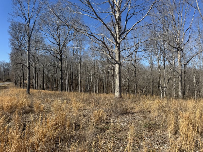 Primm Rd Lot 15,16, Ashland City, TN 37015