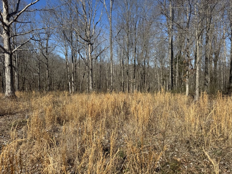 Primm Rd Lot 15,16, Ashland City, TN 37015