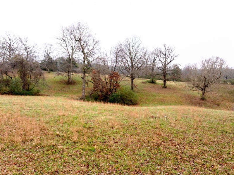 Ridgecrest Dr, Dickson, TN 37055