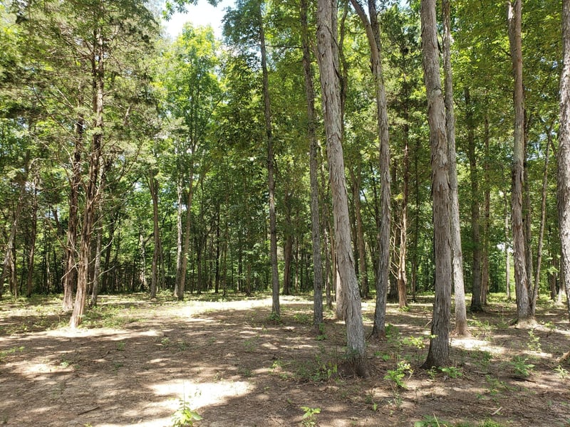 4821 Kedron Rd, Spring Hill, TN 37174