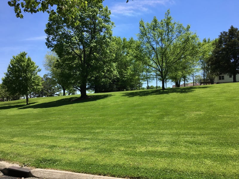 1605 Oak Mountain Dr Lot 84, Columbia, TN 38401
