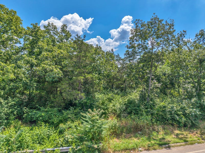 388 Rio Vista Dr, Madison, TN 37115