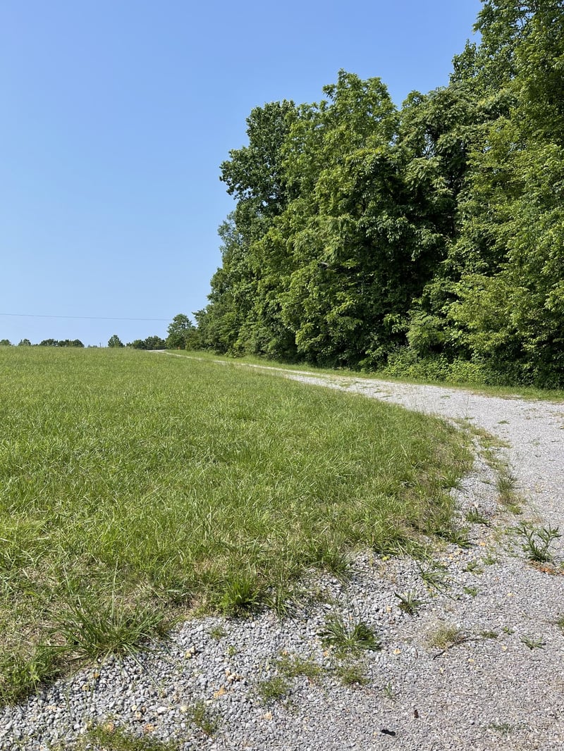 7908 Daugherty Capley Rd, Primm Springs, TN 38476