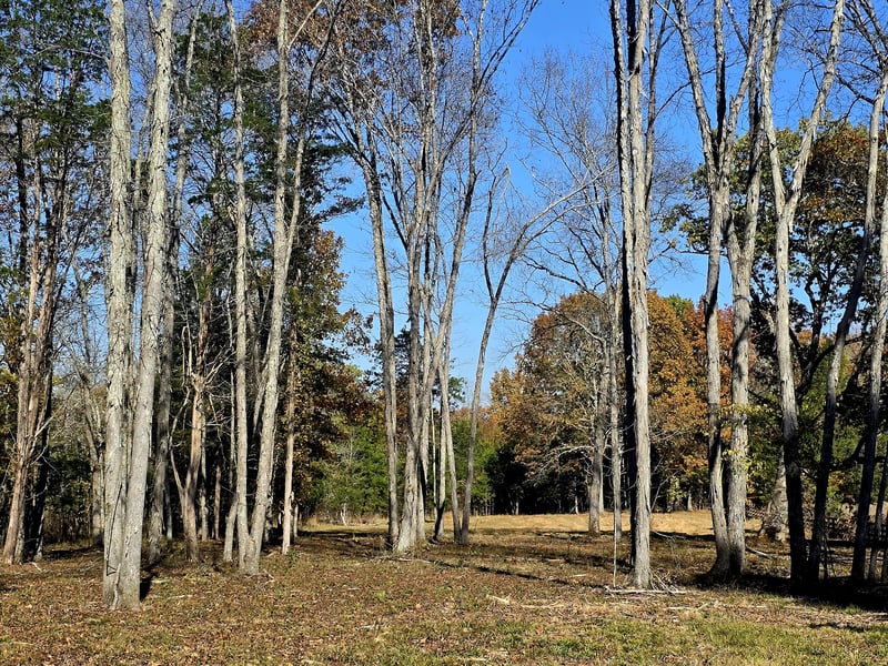 Kedron Rd, Spring Hill, TN 37174