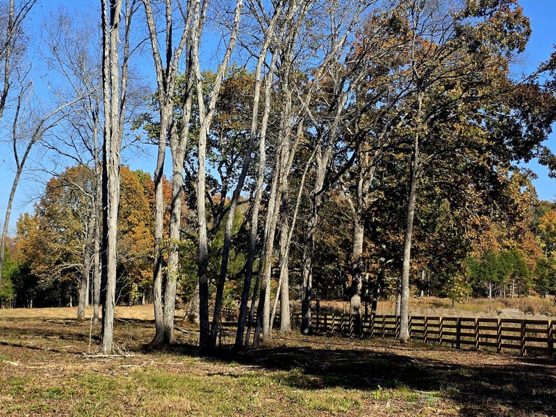 Kedron Rd, Spring Hill, TN 37174