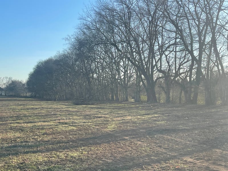 1 Old Zion Rd, Columbia, TN 38401