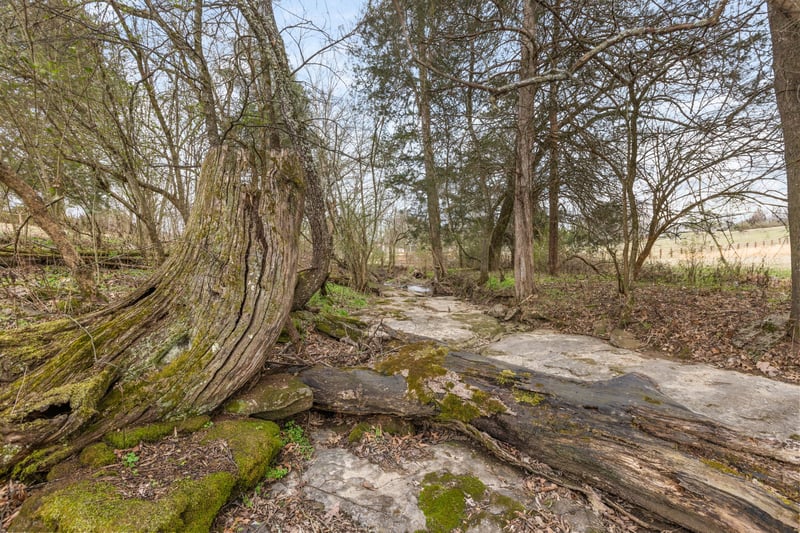 Cothran Rd, Columbia, TN 38401