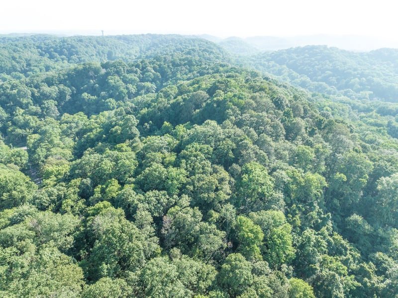 Cornwall Dr, Nashville, TN 37205