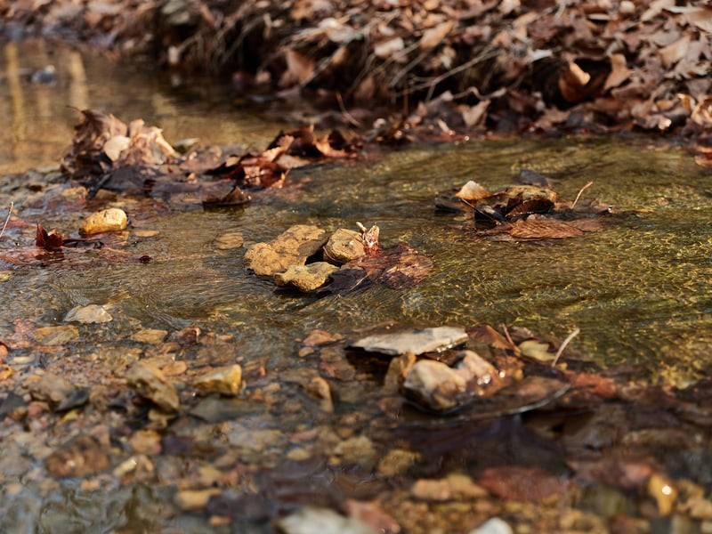 0 Chinkapin Ln, Franklin, TN 37064