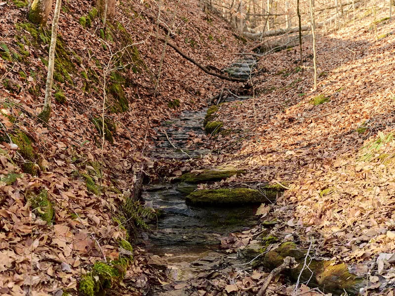 0 Chinkapin Ln, Franklin, TN 37064