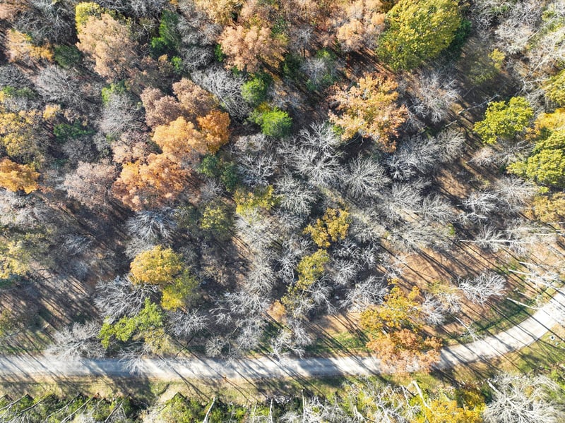 5015 Moxley Ln Lot 3, Franklin, TN 37067