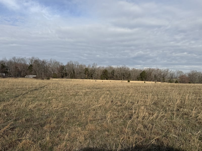 771 Mount Vernon Rd Lot 1, Bethpage, TN 37022