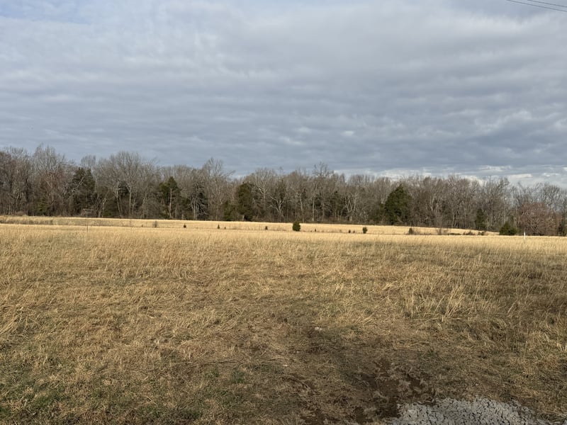 783 Mount Vernon Rd Lot 3, Bethpage, TN 37022