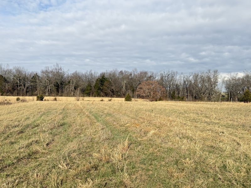 789 Mount Vernon Rd Lot 4, Bethpage, TN 37022