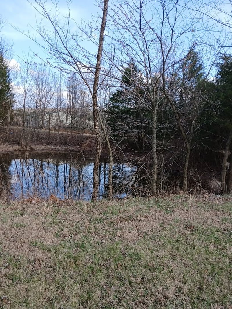 Buck Perry Rd, Bethpage, TN 37022