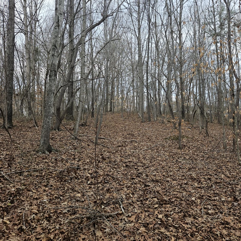 Jupiter Dr, Ashland City, TN 37015