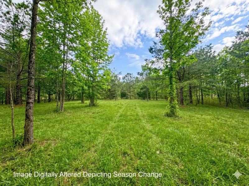 2404 Summer Oaks Cir, Summertown, TN 38483
