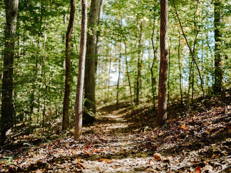 0 Pinewood Rd Lot 104, Franklin, TN 37064