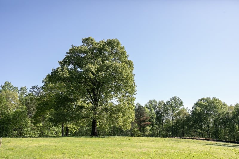 0 Pinewood Rd Lot 104, Franklin, TN 37064