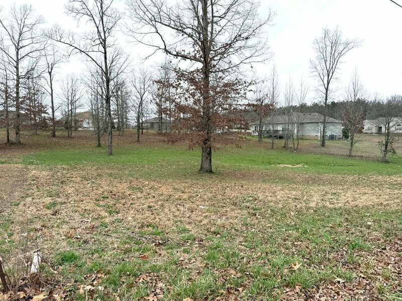 0 Wyshema Ct, Mount Pleasant, TN 38474