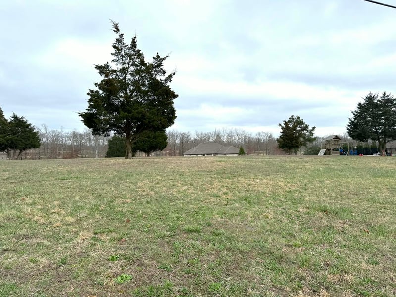 594 Double Eagle Dr, Summertown, TN 38483