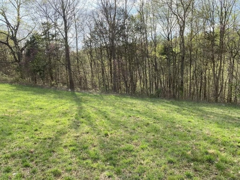 0 Carthage Rd, Pleasant Shade, TN 37145