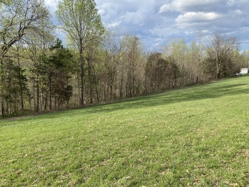 0 Carthage Rd, Pleasant Shade, TN 37145