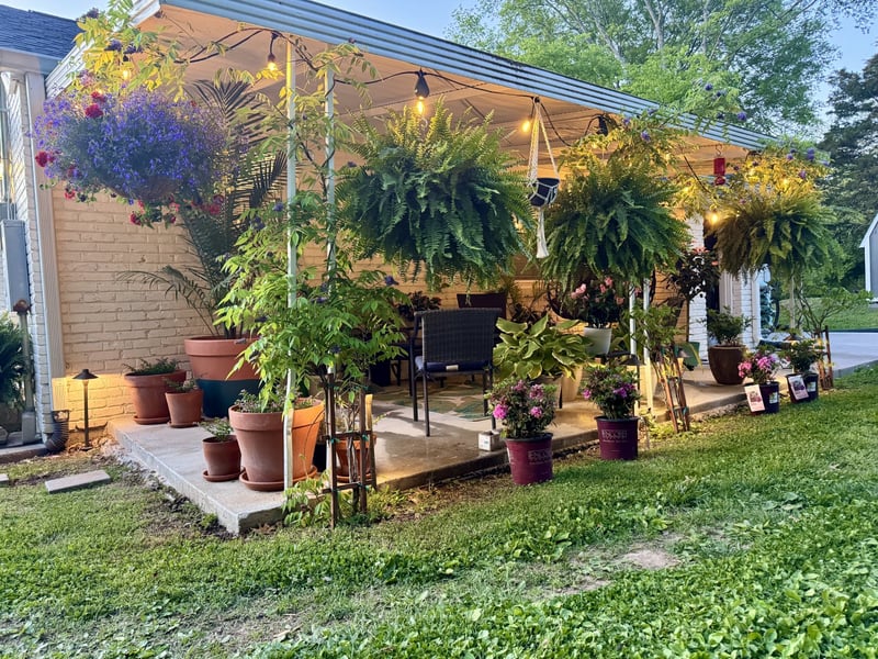 307 Finley Dr, Nashville, TN 37217