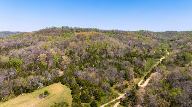 510 Rogues Fork Rd, Bethpage, TN 37022