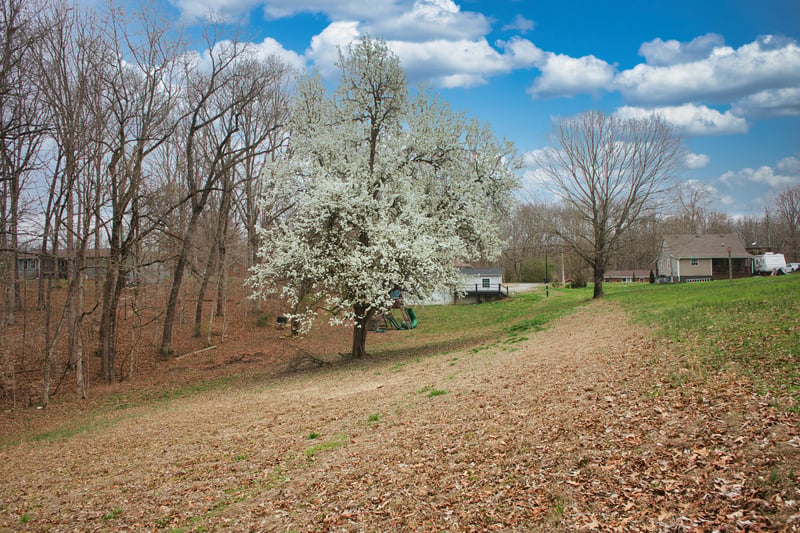 3079 Trace Creek Rd, White Bluff, TN 37187