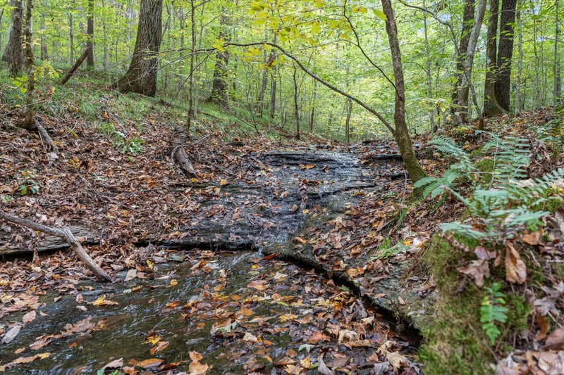 5180 Fire Tower Rd, Franklin, TN 37064