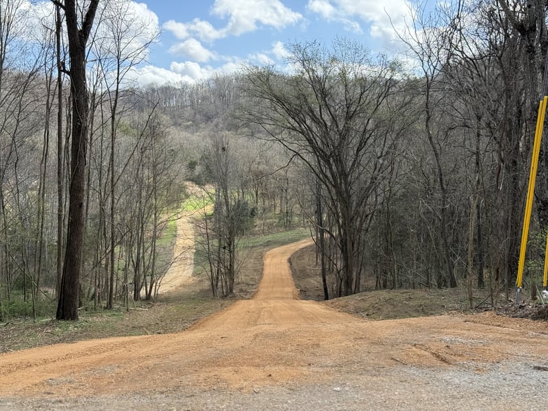 Preacher Holt Rd, Mount Pleasant, TN 38474
