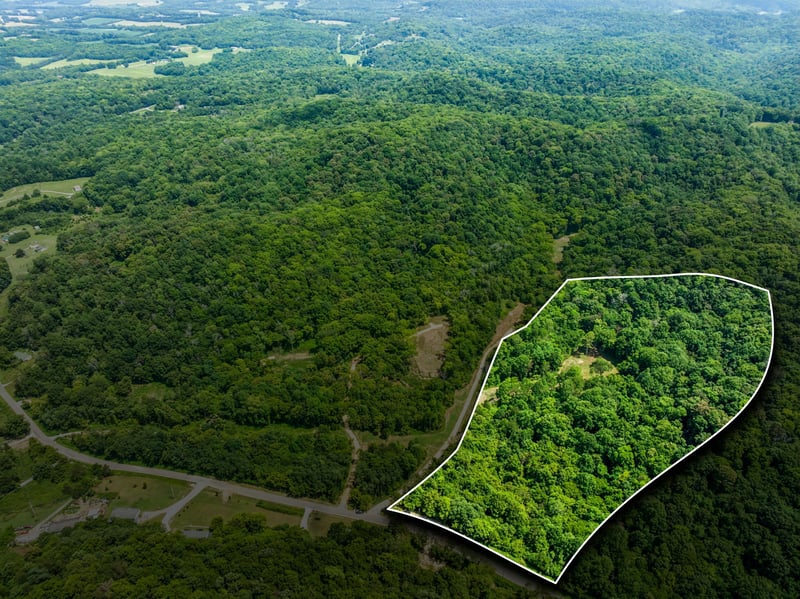 Preacher Holt Rd, Mount Pleasant, TN 38474