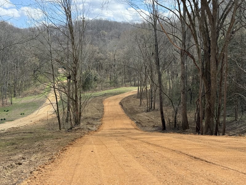 Preacher Holt Rd, Mount Pleasant, TN 38474
