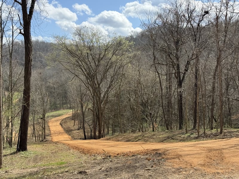 Preacher Holt Rd, Mount Pleasant, TN 38474