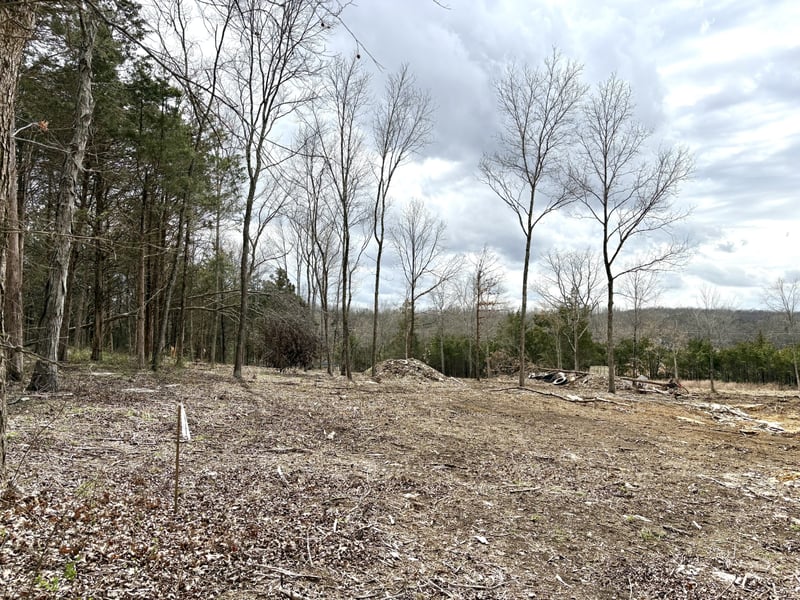 515 Mays Chapel Rd, Mount Juliet, TN 37122