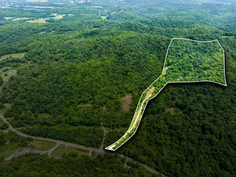 0 Preacher Holt Rd, Mount Pleasant, TN 38474