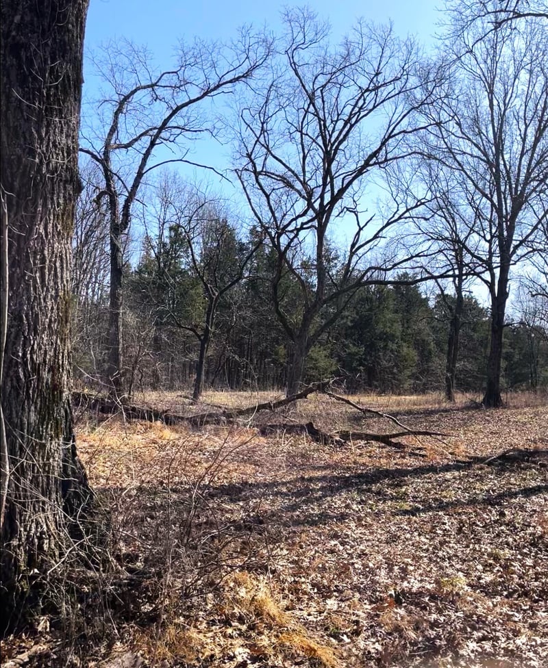 E Pitts Ln, Murfreesboro, TN 37130