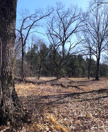 E Pitts Ln, Murfreesboro, TN 37130