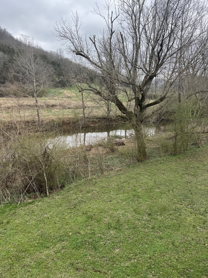 192 Hillsdale Cir, Dixon Springs, TN 37057