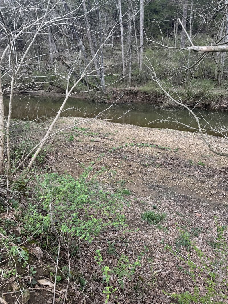 192 Hillsdale Cir, Dixon Springs, TN 37057