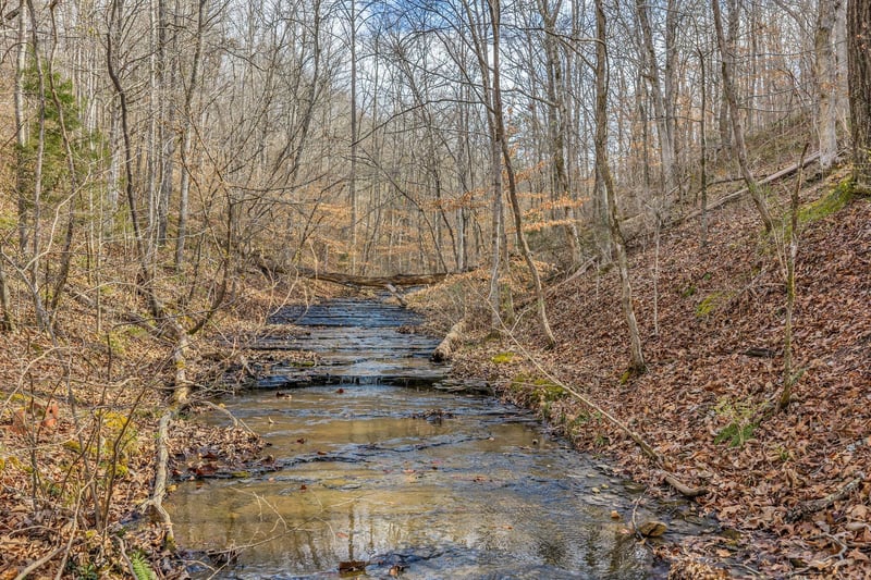 Old Sams Creek Rd Lot 9, Pegram, TN 37143